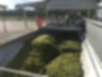 Riverland Vintners莫纳什酒庄碾碎机器